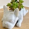 1pc Mini Resin PuppyFlower Pot, Succulent Planter, French Bulldog Shape Cute Bonsai Flower Pots, Cute Dog Flower Pots, Air Plant Holder, For Home Gar