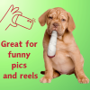My Name is Jay, Cute Stuffed Parody Joint Dog Toy, Funny Squeaky Weed Toy, Cool Plush Novelty 420 Gift for Pets & Their Owners, Sized for Puppies & S