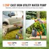 Cast Iron Water Transfer Pump, 115V AC 1600 GPH 1/2HP, Portable Electric Utility Pump with Carbon Brush, Filter, Brass Connectors, for Garden, Rain B