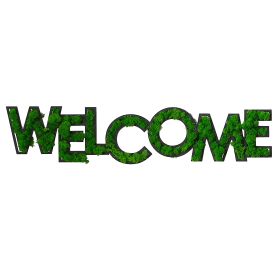 WELCOME Letter Art Moss Wall Decorations (Color: Green)