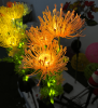 4 Pack Solar Garden Lights Outdoor, Solar Flower Lights for Yard with Lighting Modes, Glowing Flowers & Stems, Auto ON/Off Outdoor Light for Garden D